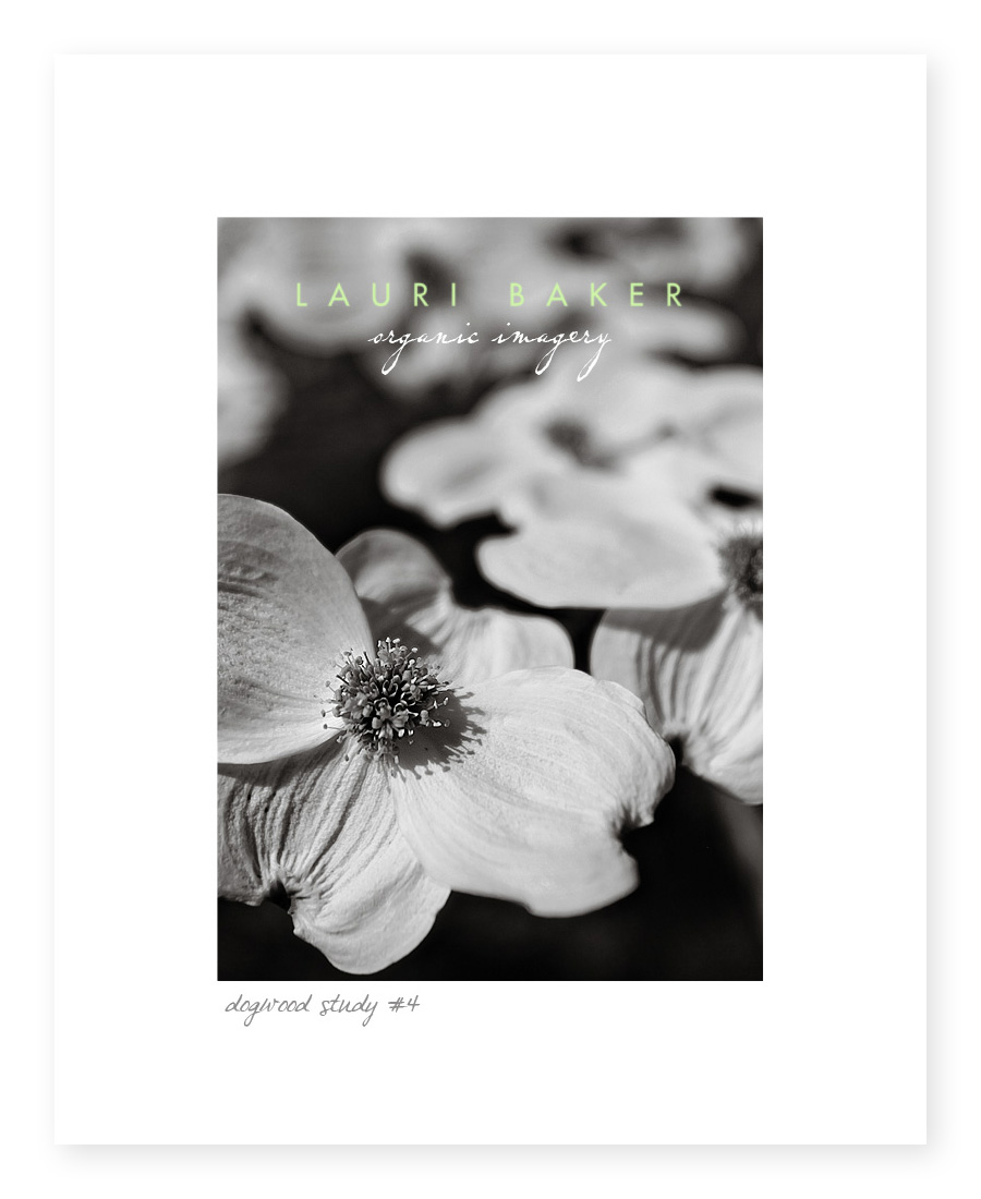 fine-art-black-and-white1 fine-art-black-and-white1
