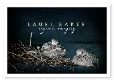 fledglings1 fledglings1