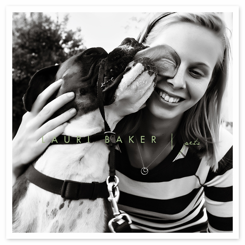 st-louis-dog-photography