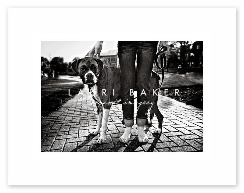 st-louis-pet-photography
