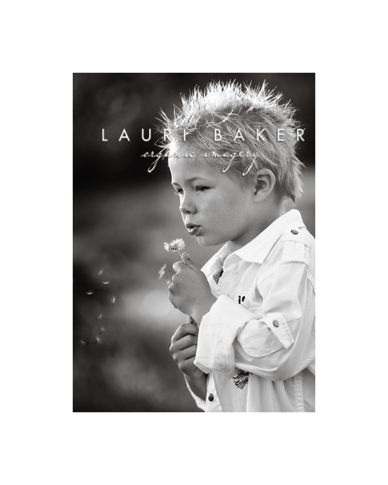 Dandelions